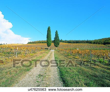 Stock Image - Europe, outdoors, roads, countryside, scenery, unpaved. Fotosearch