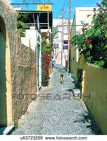 Stock Photo - Europe, outdoors, streets, alley, dog, plants. Fotosearch