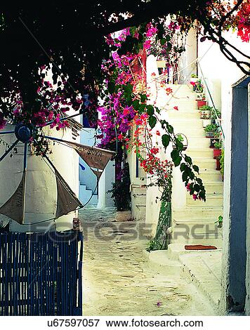 Europe, outdoors, streets, alley, trees, flowers View Large Photo Image Stock Photo - Europe, outdoors, streets, alley, trees, flowers. Fotosearch