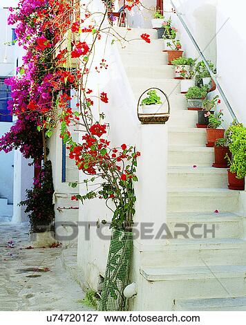 Stock Photo - flowerpots, outdoors, plants, flowers, stairwell, Aegean sea. Fotosearch