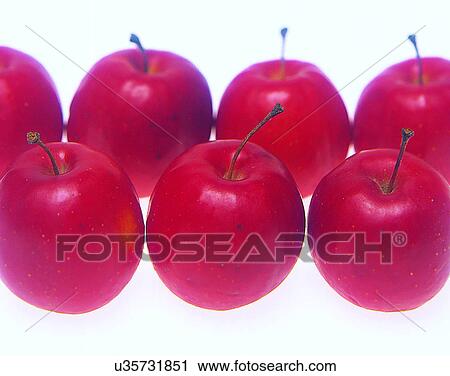 Fruits, nature, fresh, apples View Large Photo Image Stock Image - Fruits, nature, fresh, apples. Fotosearch