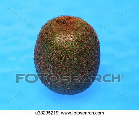 Stock Photo - Fruits, nature, fresh, close-up, kiwi. Fotosearch