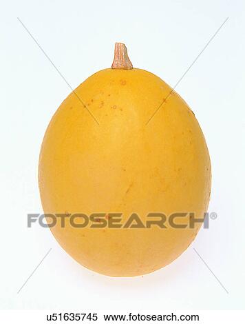 Stock Photography - Fruits, nature, fresh, close-up, melon. Fotosearch