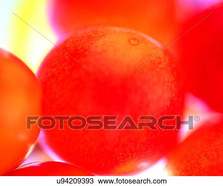 Fruits, nature, fresh, close-up View Large Photo Image Stock Image - Fruits, nature, fresh, close-up. Fotosearch