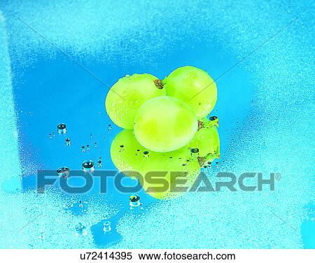 Fruits, nature, fresh, grapes, water drop, reflection View Large Photo Image Stock Photography - Fruits, nature, fresh, grapes, water drop, reflection. Fotosearch