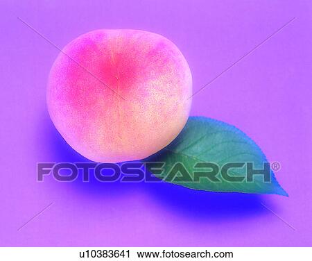 Fruits, nature, fresh, juicy peach, leaf View Large Photo Image Stock Image - Fruits, nature, fresh, juicy peach, leaf. Fotosearch