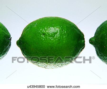 Fruits, nature, fresh, lemons View Large Photo Image Stock Image - Fruits, nature, fresh, lemons. Fotosearch