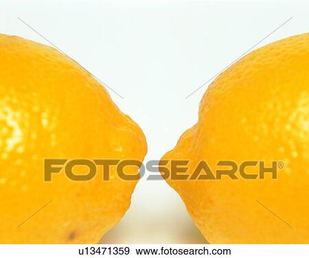 Fruits, nature, fresh, lemons View Large Photo Image Stock Photo - Fruits, nature, fresh, lemons. Fotosearch