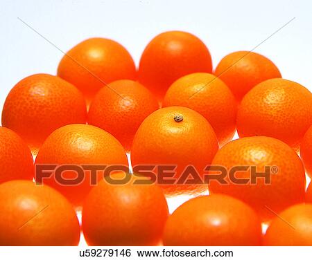 Fruits, nature, fresh, oranges, bunch View Large Photo Image Stock Photograph - Fruits, nature, fresh, oranges, bunch. Fotosearch