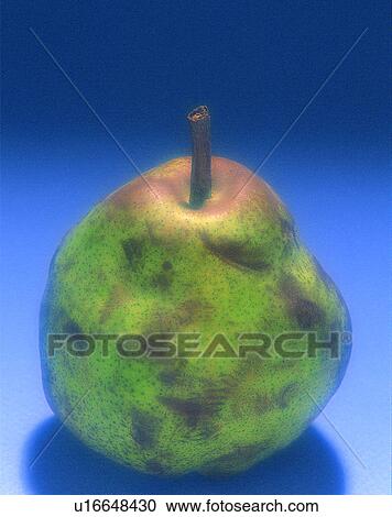 Stock Image - Fruits, nature, fresh, pear. Fotosearch