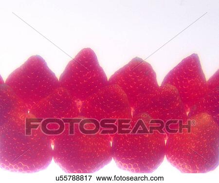 Fruits, nature, fresh, strawberries, soft light View Large Photo Image Stock Photo - Fruits, nature, fresh, strawberries, soft light. Fotosearch