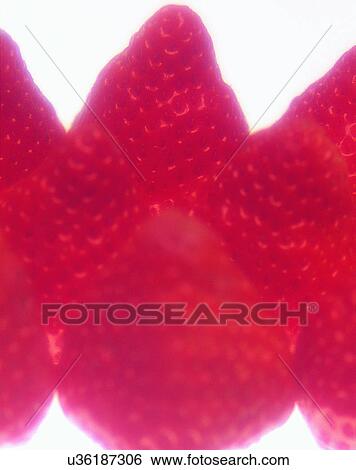 Stock Photograph - Fruits, nature, fresh, strawberries, soft light, bunch. Fotosearch