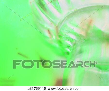 Stock Photograph - glass, close-up, light, drinking ware. Fotosearch