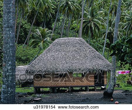 Picture - house, outdoors, daytime, architecture, jungle, hut. Fotosearch