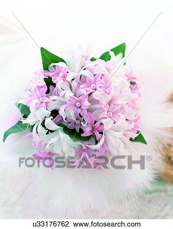 Stock Image - indoors, bouquet, flowers, close-up, pink, white. Fotosearch