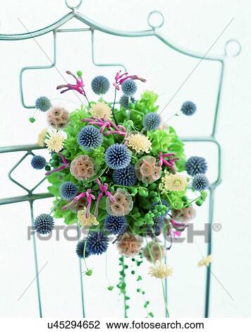Stock Image - indoors, bouquet, flowers, close-up, chair, purple. Fotosearch