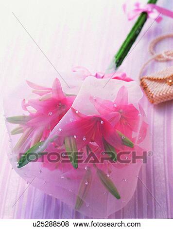 indoors, bouquet, flowers, close-up, pink, stem View Large Photo Image Stock Photo - indoors, bouquet, flowers, close-up, pink, stem. Fotosearch