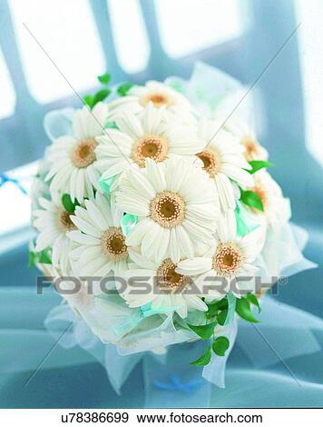 indoors, bouquet, flowers, close-up, chair, white View Large Photo Image Stock Photo - indoors, bouquet, flowers, close-up, chair, white. Fotosearch