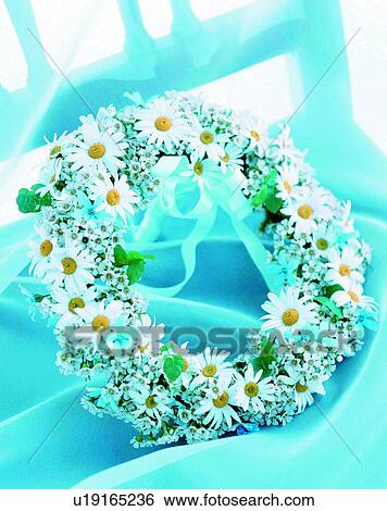 Stock Photograph - indoors, bouquet, flowers, close-up, daisies, circle. Fotosearch