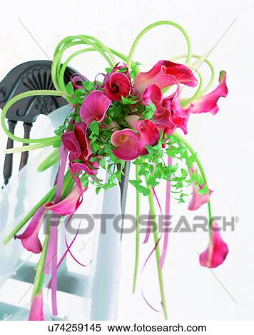 Stock Photography - indoors, bouquet, flowers, close-up, red, leaves. Fotosearch