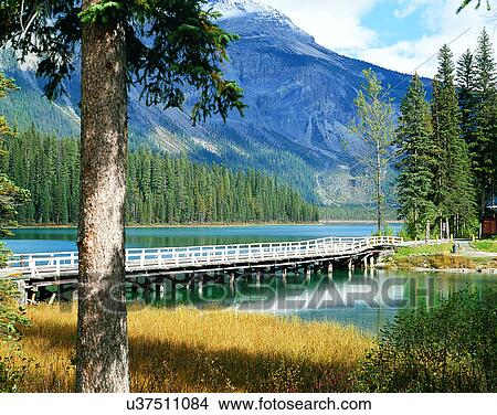 Picture - lakeside, water, nature, sky, forest, trees. Fotosearch