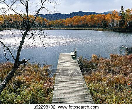 lakeside, water, nature, sky, forest, pier View Large Photo Image Stock Image - lakeside, water, nature, sky, forest, pier. Fotosearch