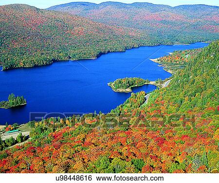 Stock Photograph - lakeside, water, nature, sky, forest, trees. Fotosearch