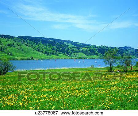 lakeside, water, nature, sky, mountains, landscape View Large Photo Image Stock Photo - lakeside, water, nature, sky, mountains, landscape. Fotosearch