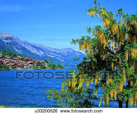 Stock Photograph - lakeside, water, nature, sky, mountains, landscape. Fotosearch