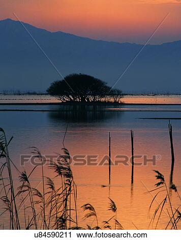 Stock Image - lakeside, water, nature, sky, sunset, silhouette. Fotosearch