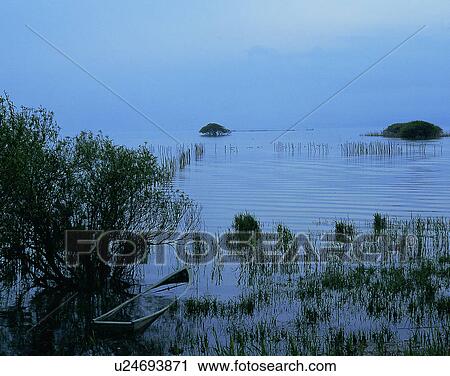 lakeside, water, nature, sky, trees, reeds View Large Photo Image Stock Image - lakeside, water, nature, sky, trees, reeds. Fotosearch
