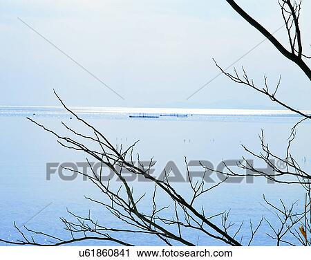 Stock Image - lakeside, water, nature, sky, trees, branches. Fotosearch