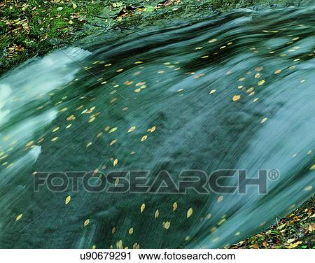 Stock Image - leaves, nature, close-up, outdoors, scenery, autumn. Fotosearch