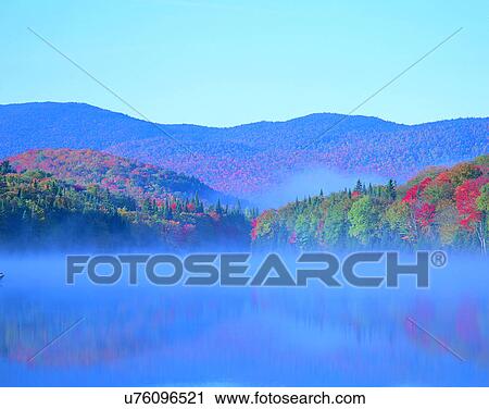 leaves, nature, forest, outdoors, scenery, autumn View Large Photo Image Stock Image - leaves, nature, forest, outdoors, scenery, autumn. Fotosearch
