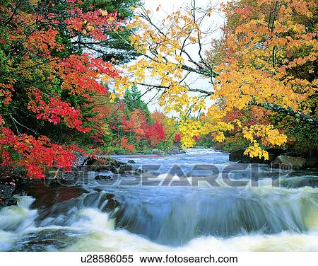 leaves, nature, trees, outdoors, scenery, autumn View Large Photo Image Stock Photography - leaves, nature, trees, outdoors, scenery, autumn. Fotosearch