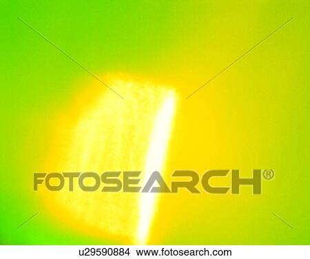 Picture - Light effect, art, backgrounds, soft focus, neon, motion. Fotosearch