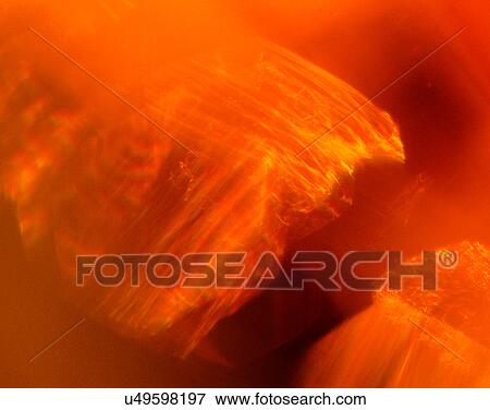 Stock Photo - Light effect, art, backgrounds, soft focus, neon, motion. Fotosearch