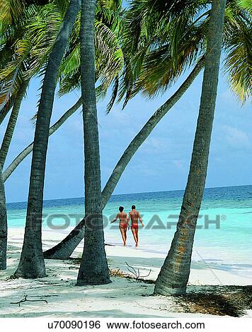love, couples, companionship, beach, palm trees, sand View Large Photo Image Stock Photograph - love, couples, companionship, beach, palm trees, sand. Fotosearch