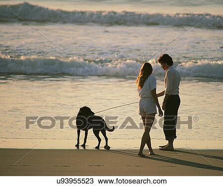 love, couples, outdoors, beach, sunset, walking View Large Photo Image Stock Image - love, couples, outdoors, beach, sunset, walking. Fotosearch