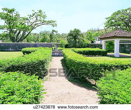 Micronesia, tropical, outdoors, scenery, garden, hedges View Large Photo Image Stock Photo - Micronesia, tropical, outdoors, scenery, garden, hedges. Fotosearch