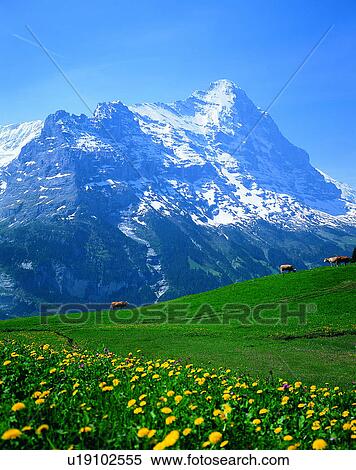 Stock Photography - mountain, landscape, outdoors, sky, mountain, landscape range. Fotosearch