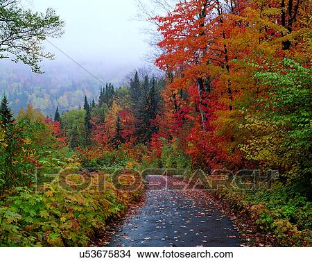 Picture - nature, road, outdoors, scenery, autumn. Fotosearch