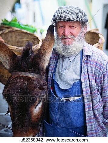 Stock Image - outdoors, baskets, donkey, elderly, Aegean sea. Fotosearch
