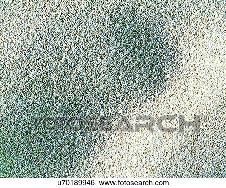 outdoors, sand, bright, shadows, close-up, grain View Large Photo Image Stock Photograph - outdoors, sand, bright, shadows, close-up, grain. Fotosearch
