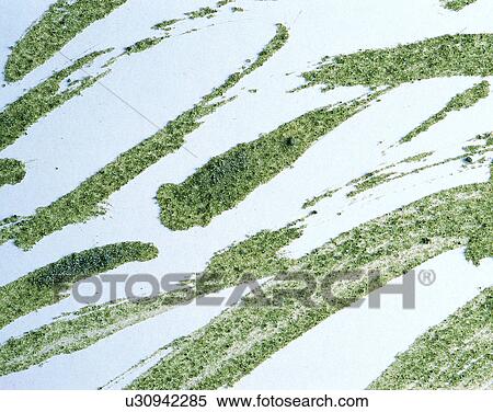 Stock Photography - outdoors, sand, contrast, brushstroke, texture, background. Fotosearch