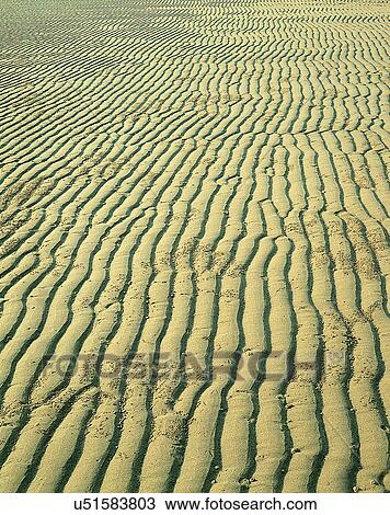 outdoors, sand, dry, pattern, perspective, track View Large Photo Image Stock Image - outdoors, sand, dry, pattern, perspective, track. Fotosearch