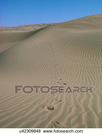 Stock Photo - outdoors, sand, hill, footprints, perspective, rippled. Fotosearch