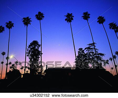 outdoors, tropical, sky, sunset, trees, residential View Large Photo Image Stock Image - outdoors, tropical, sky, sunset, trees, residential. Fotosearch