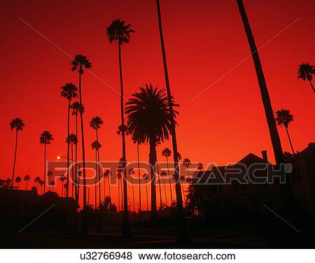 outdoors, tropical, sky, sunset, trees, residential View Large Photo Image Stock Photo - outdoors, tropical, sky, sunset, trees, residential. Fotosearch