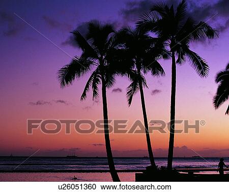 outdoors, tropical, sky, water, sea, beach sunset View Large Photo Image Stock Image - outdoors, tropical, sky, water, sea, beach sunset. Fotosearch